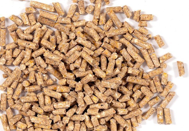 Proveedor de CF grado alimenticio