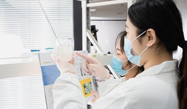 Formulación OEM