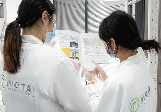 Investigación de laboratorio