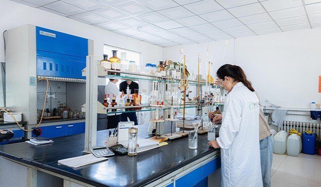 Prueba de laboratorio