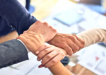 Colaboración en equipo