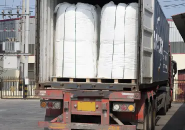 Pago y Entrega