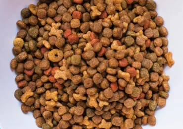 Aditivos para piensos animales