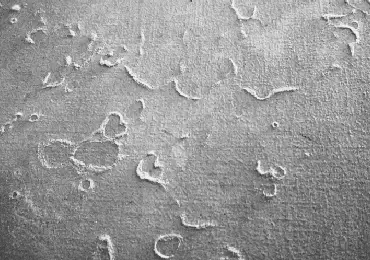 Problema en la pared del sótano