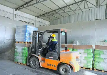 Servicio Logístico