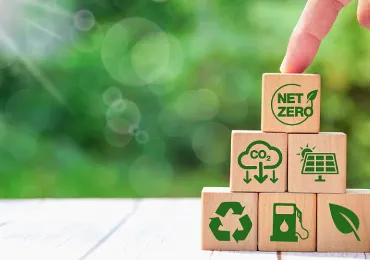 Mentalidad ecológica