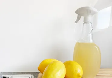 HPMC para productos químicos diarios