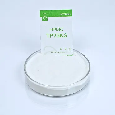 HPMC para Pintura