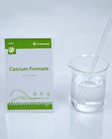 Polvo de Formato