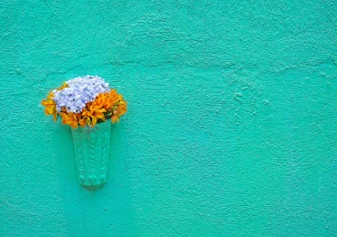 Pared exterior
