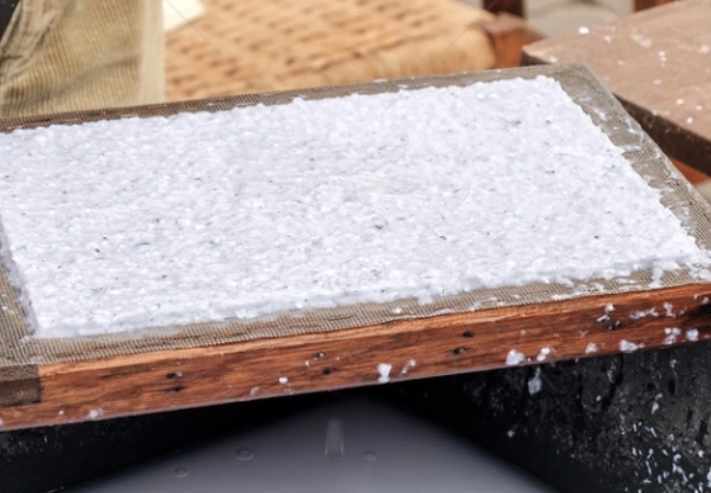 Pulping (Washing Pulp, Black Liquor)