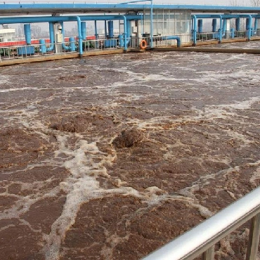 Digestores de lodo