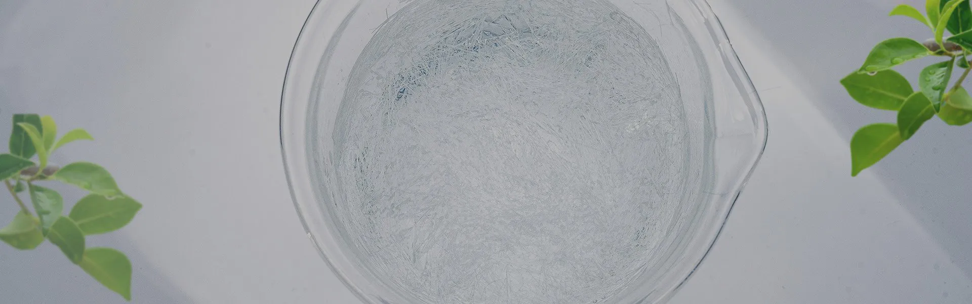 Polvo de PVA