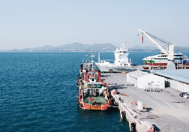 Exportação Global e Reconhecimento de Mercado
