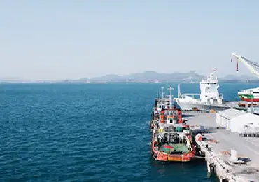 shipping-oversea