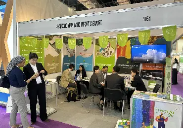 construction-exhibition