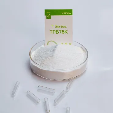 cellulose-ether-factory