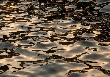 water-oil