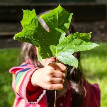 Eco-Friendly Production