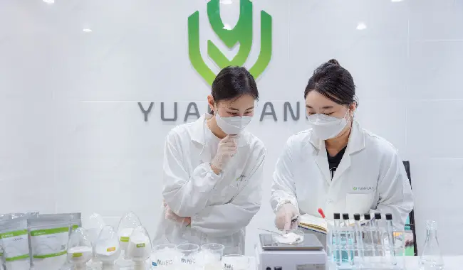 Polymer Mortar: The Key to Superior Building Quality and Durability WOTAIchem R&D team