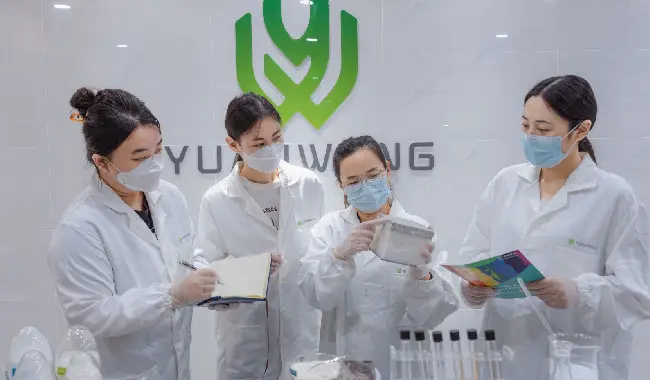 R&D team