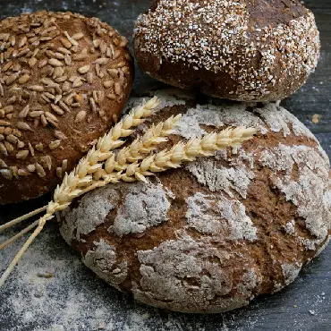 Food Industry