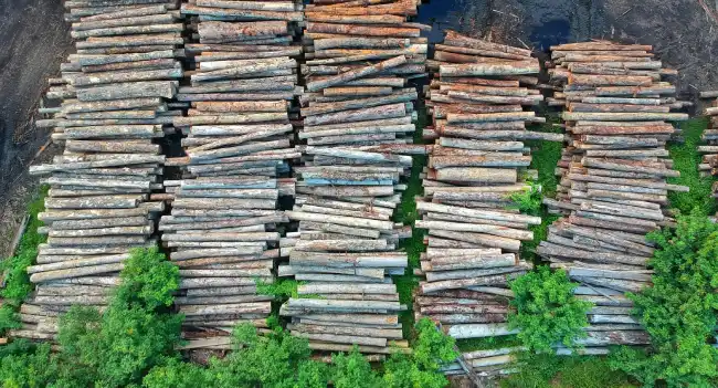from wood to wood cellulose fiber