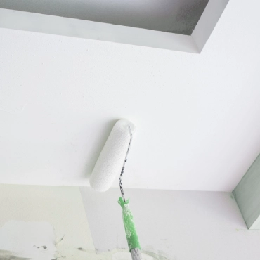 plaster ceiling